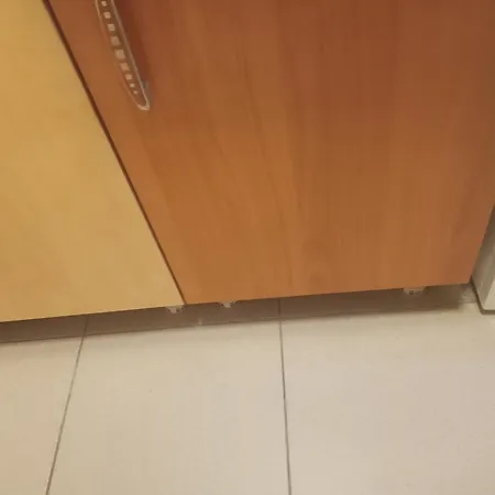 Ein Traumhafter Aufenthalt In Den Bergen Lauterbrunnen